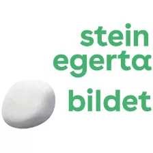 „Logo der Stein Egerta – Zentrum für Erwachsenenbildung in Liechtenstein“